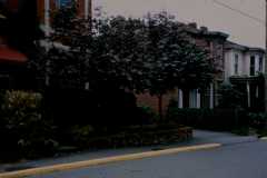 1500-block-Amelia-Street-general-streetscape